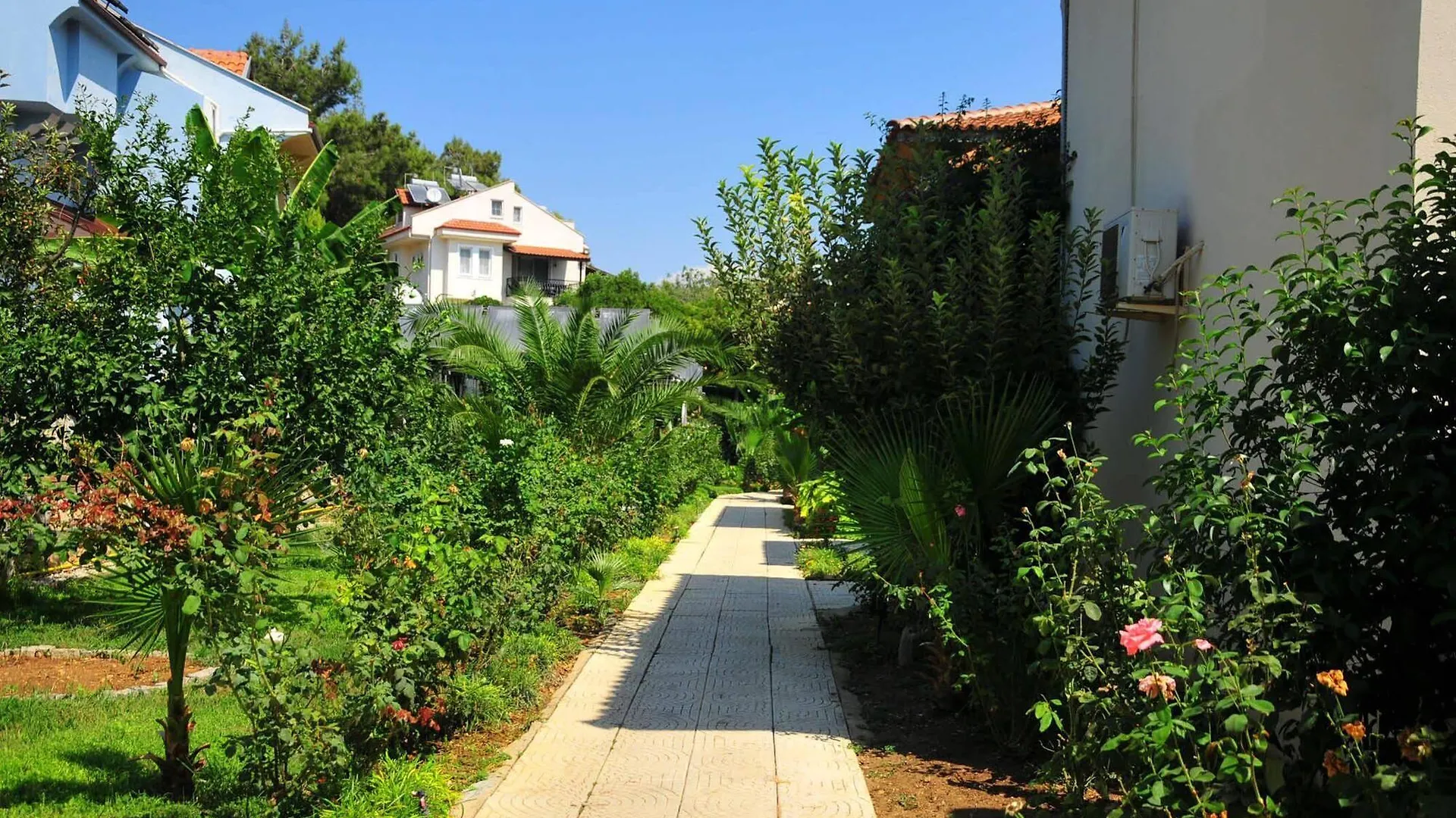 Telmessos Neva Hotel Oludeniz